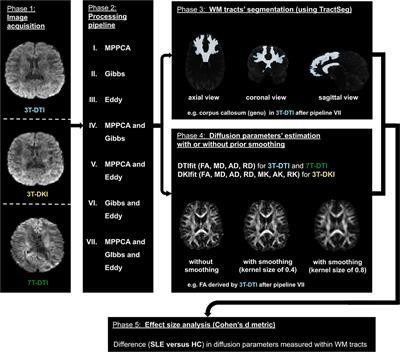 Sensitivity of Diffusion MRI to White Matter Pathology: Influence of Diffusion Protocol, Magnetic Field Strength, and Processing Pipeline in Systemic Lupus Erythematosus